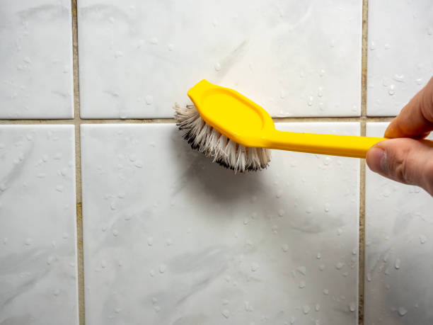 Best Mold Testing  in Scottville, MI