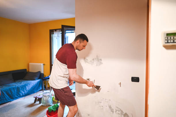 Best Mold Removal and Inspection  in Scottville, MI